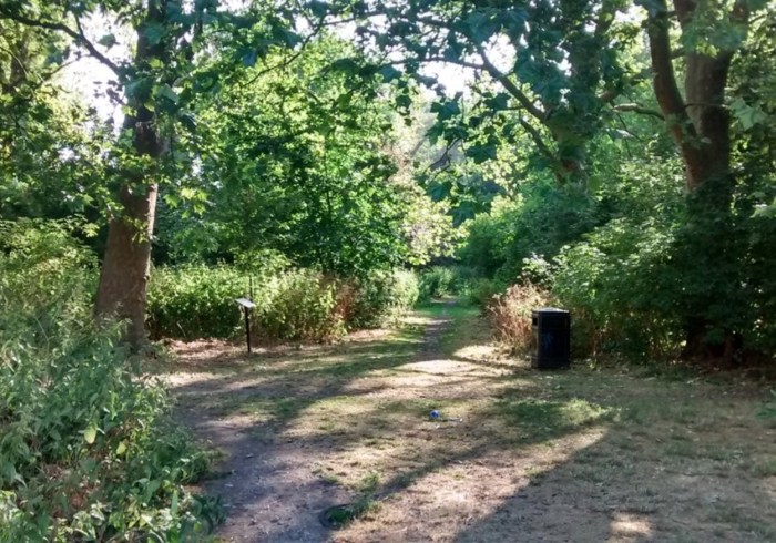 Hackney Wick Woodland personal training and walk fitness in Hackney