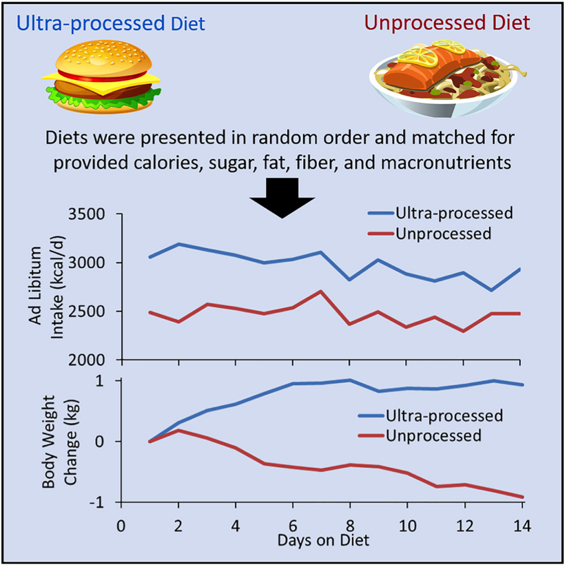 Ultra Processed Foods