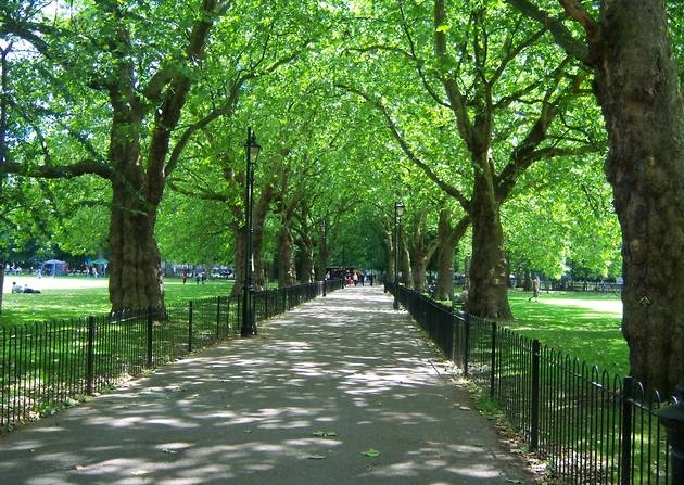 Personal Trainer Highbury Fields