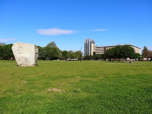 Personal Trainer Shoreditch Park